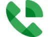 1 Google Voice